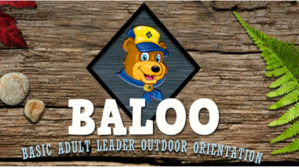 Poster for BALOO training
