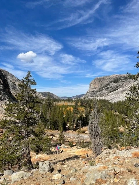 Hiker in the wilderness